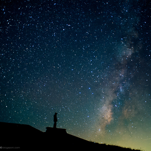 挑战一根大黑属
