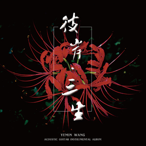 挑战一根大黑属
