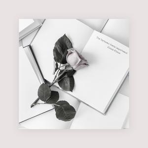 挑战一根大黑属
