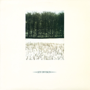 挑战一根大黑属
